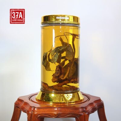 Rượu Sâm Ngọc Linh tự nhiên 35 năm 0.3kg