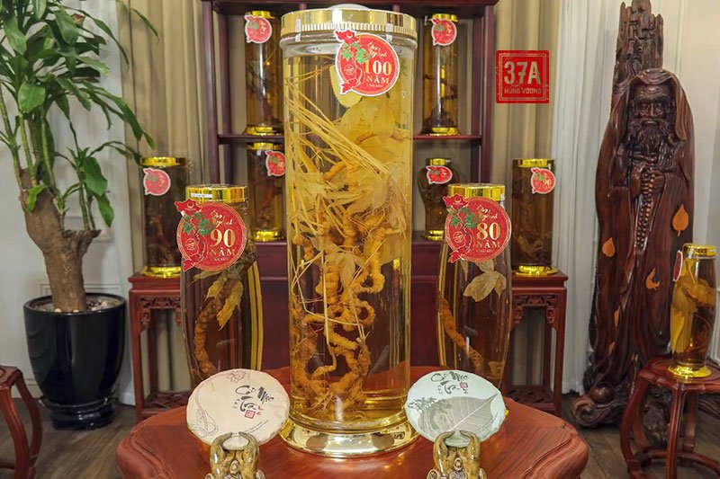 Nhà hàng 37 Hùng Vương quy tụ hàng trăm củ sâm giá trị với tuổi đời từ hàng chục lên đến hàng trăm năm
